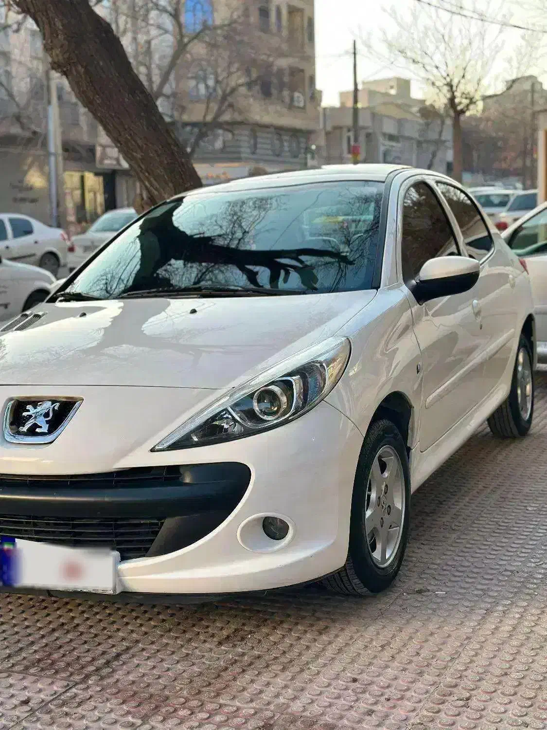 ۲۰۷پانا مدل ۱۴۰۰|خودرو سواری و وانت|کرمانشاه, |دیوار