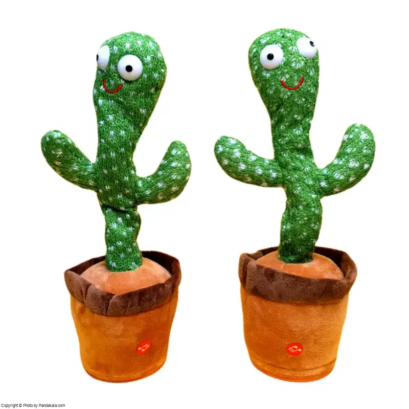 کاکتوس سخنگو رقاص|اسباببازی|زاهدان, |دیوار