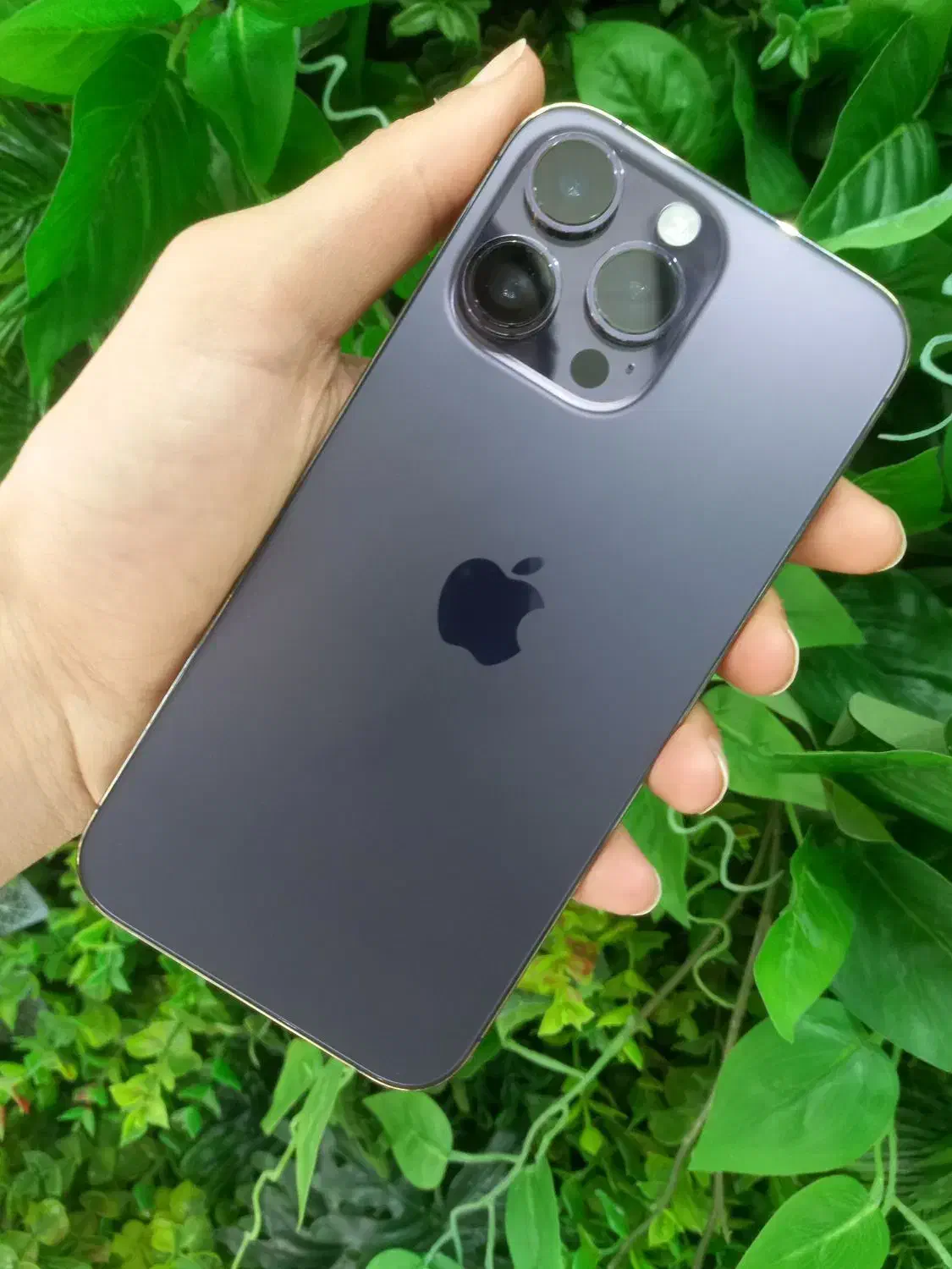 iPhone 14 promax|موبایل|قزوین, |دیوار