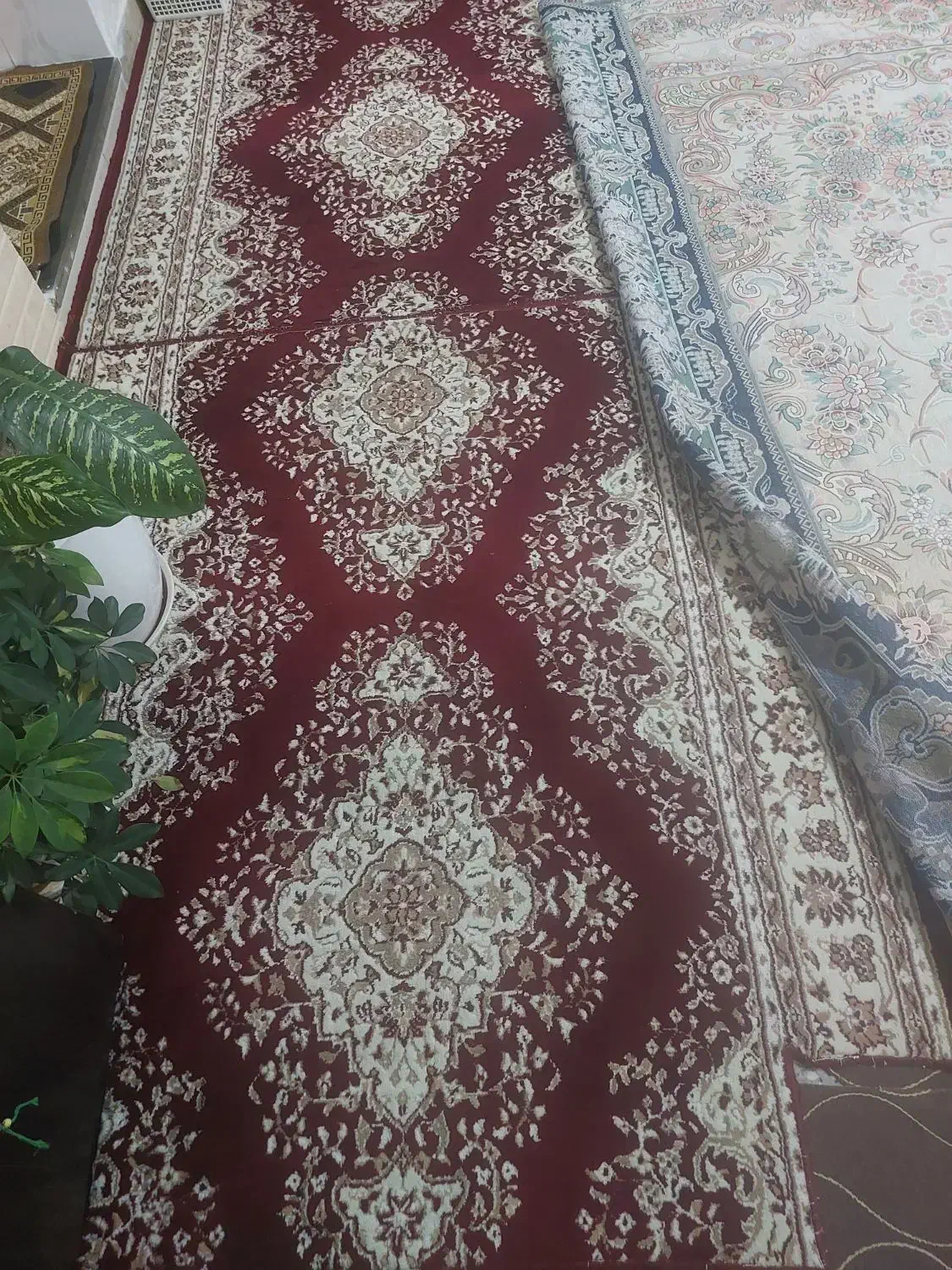کناره فرش|فرش|بروجرد, |دیوار