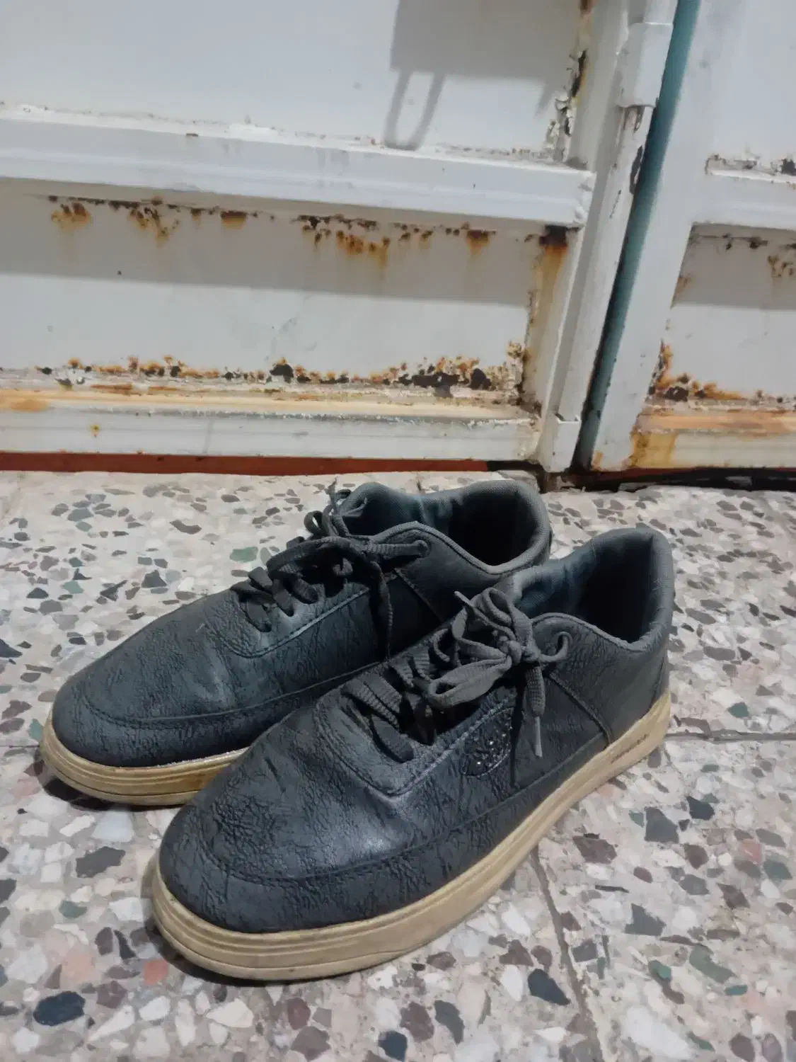 سه جفت کفش نو|کیف، کفش، کمربند|دزفول, |دیوار