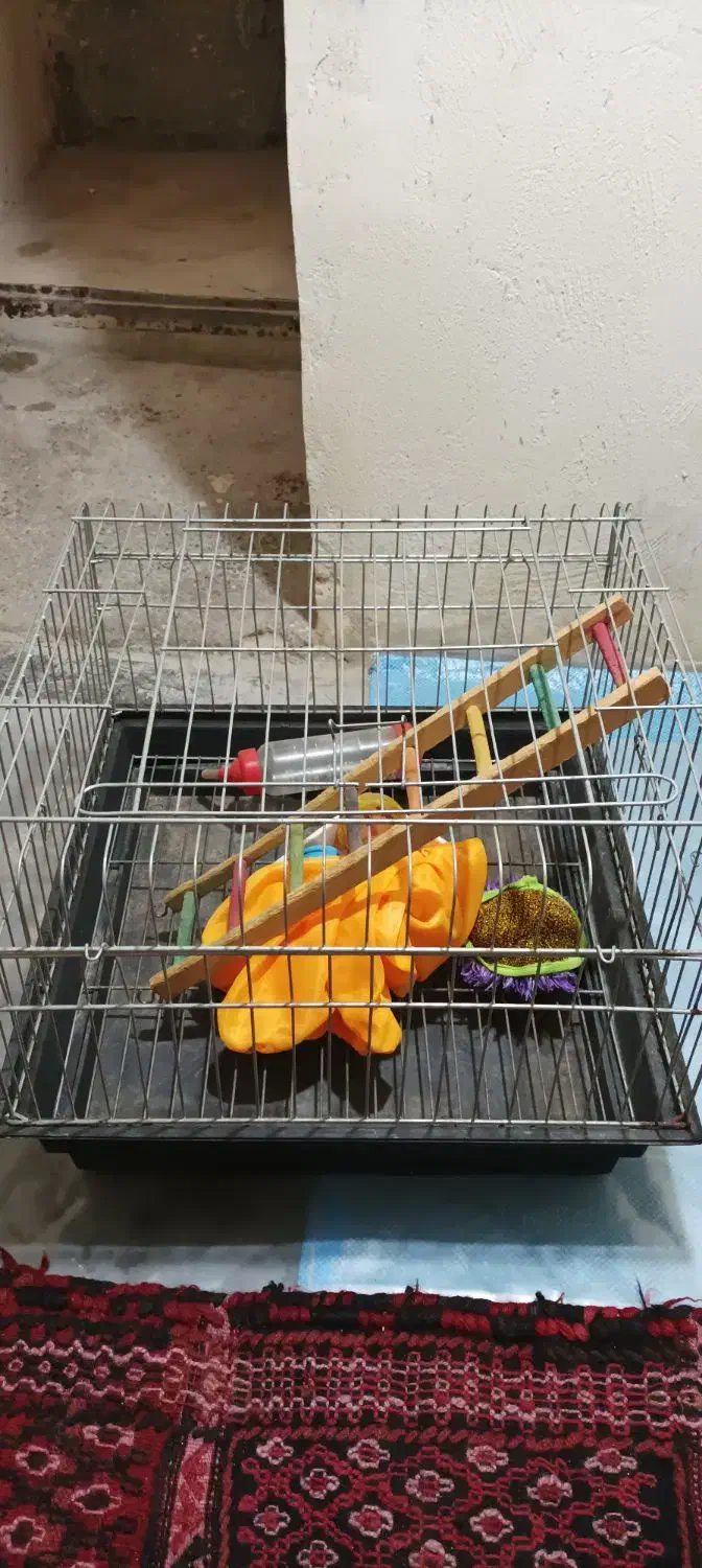 قفس خوکچه و خرگوش|لوازم جانبی حیوانات|تهران, سبلان (لشگر)|دیوار