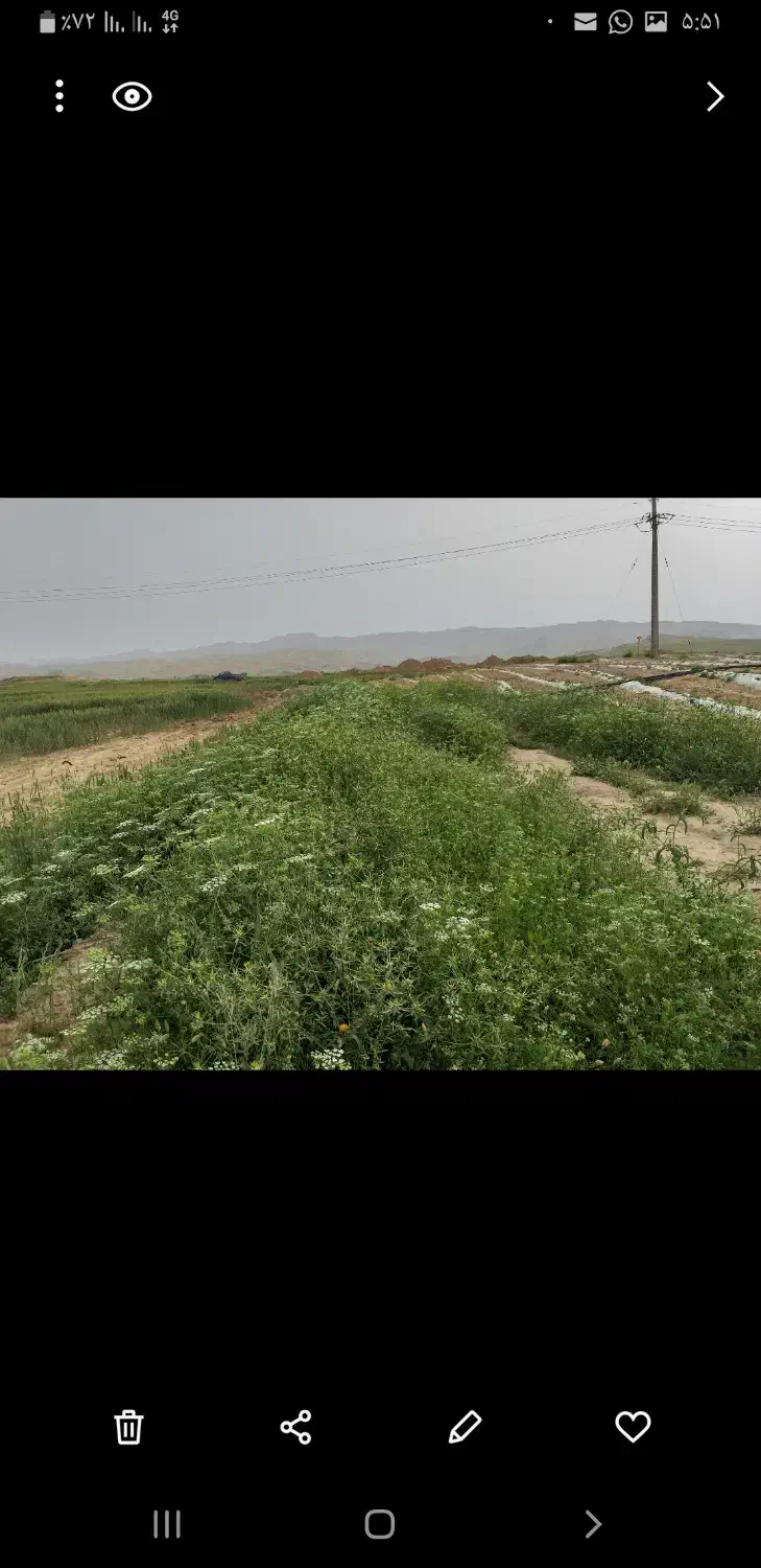 زمین کشاورزی اجاره ای|فروش دفتر صنعتی، کشاورزی، تجاری|بهبهان, |دیوار