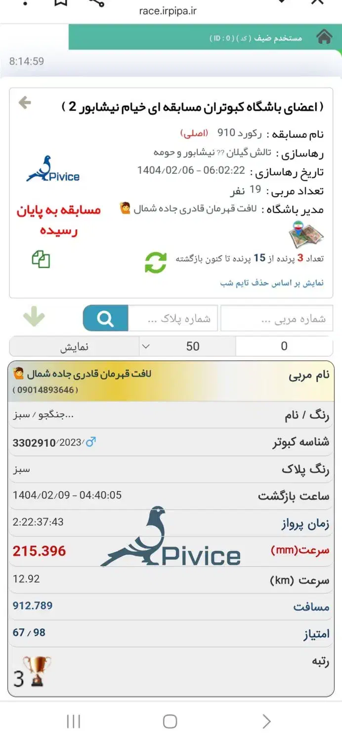 یک جفت جوجه مسافتی عربستان نسل رکورد خراسان رضوی|پرنده|اهواز, فاز ۱ پادادشهر|دیوار