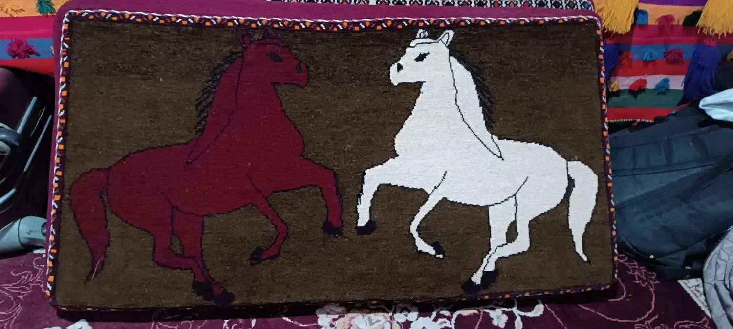 پشتی دست بافت کناپه|پشتی|زرقان, |دیوار