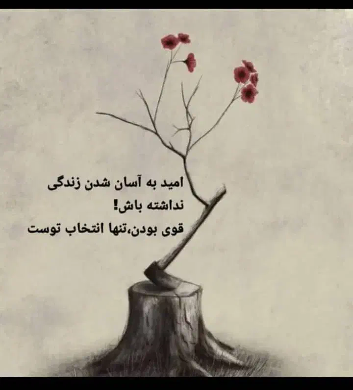 راهنمایی میخام|فعالیت داوطلبانه|شیراز, تپه تلویزیون|دیوار