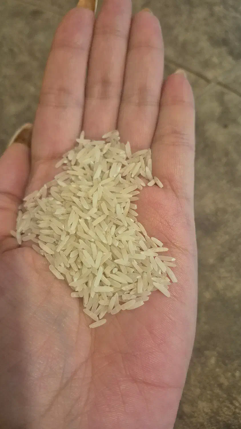 برنج درجه یک ایرانی شمال به شرط پخت|خوردنی و آشامیدنی|تبریز, |دیوار