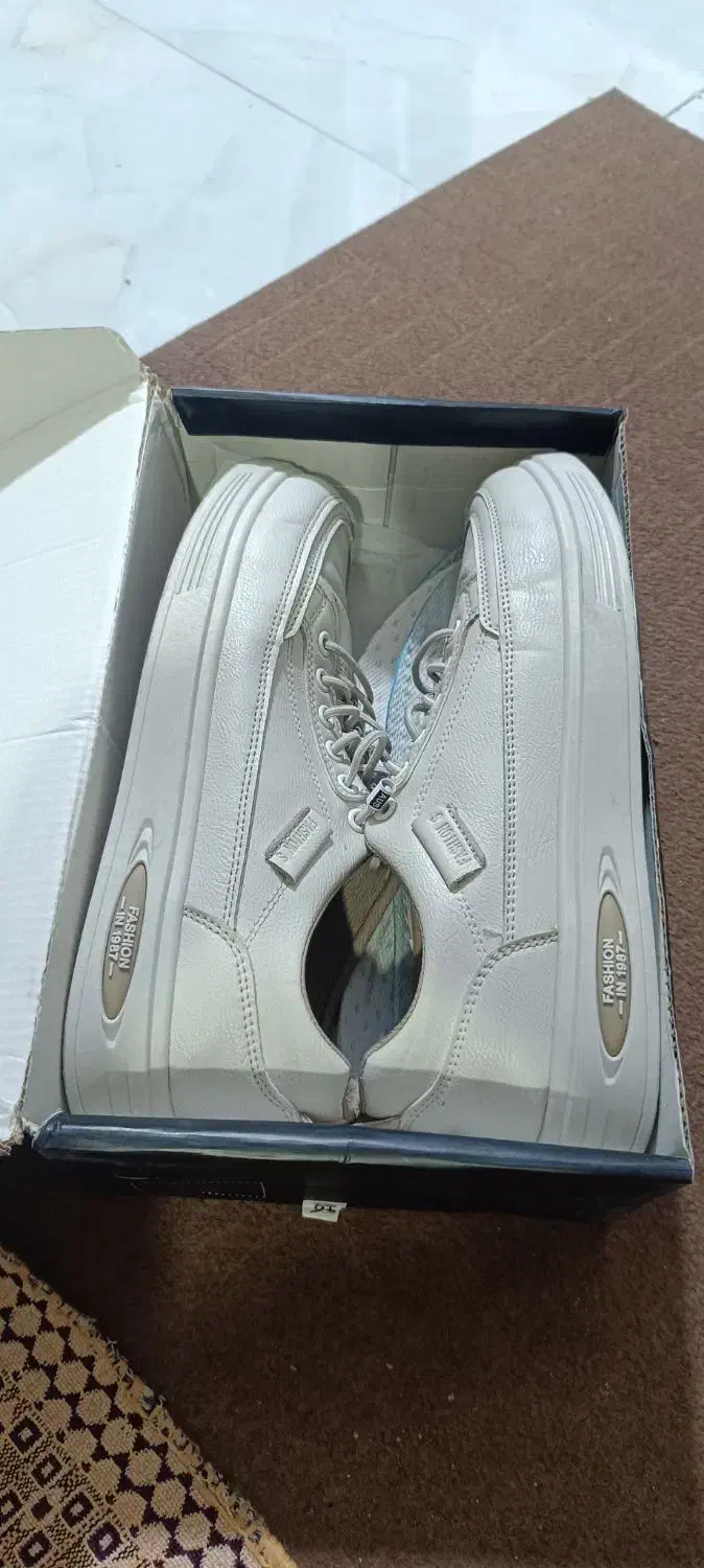 سبک وراحت|کوهنوردی و کمپینگ|اهواز, معین زاده|دیوار