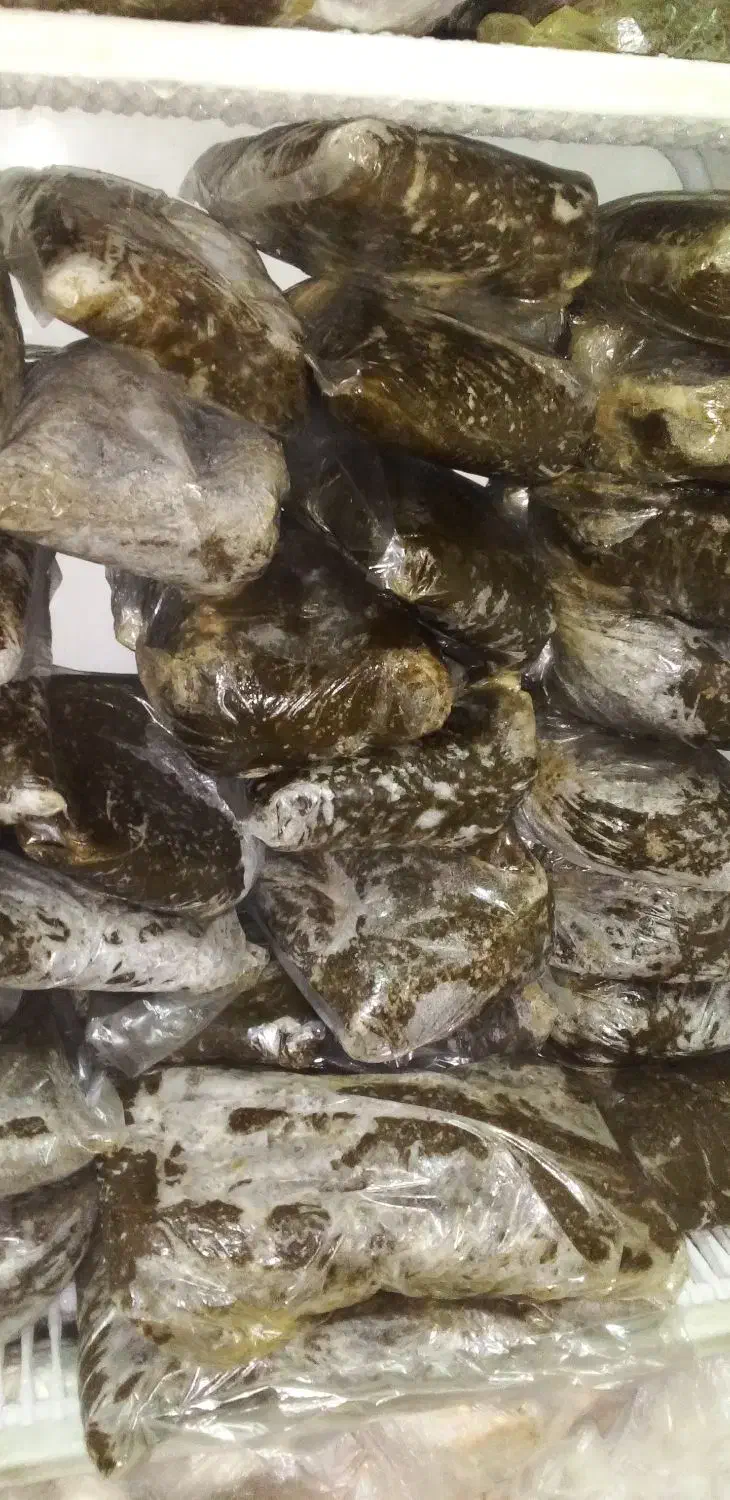 سبزی پخت  کیلوی ۱۱۰تومن ویخجال وفرزه هم۳۰تومن|خوردنی و آشامیدنی|مسجد سلیمان, |دیوار