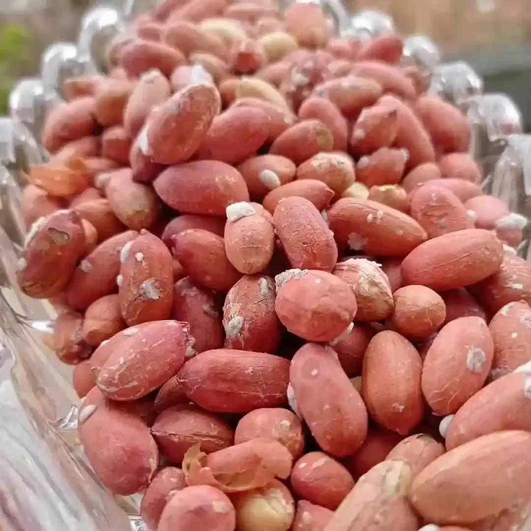 بادام زمینی عمده|خوردنی و آشامیدنی|خرم‌آباد, |دیوار