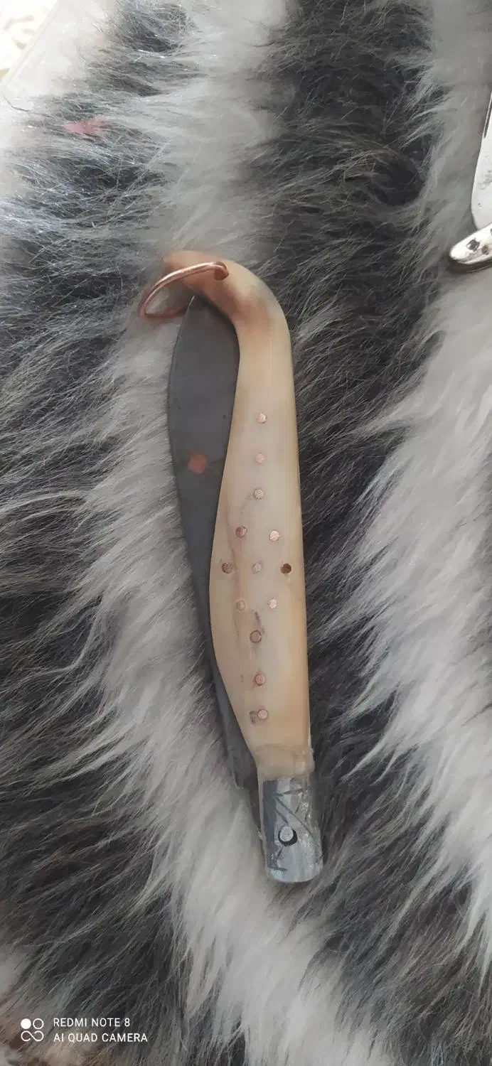 چاقو دسته استخوان|کوهنوردی و کمپینگ|خمینی‌شهر, |دیوار