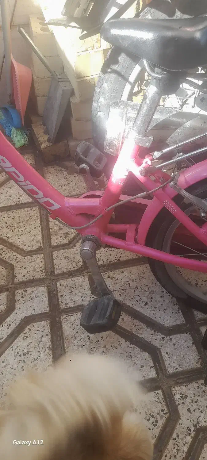 دوچرخه دخترانه سایزه ۱۶|دوچرخه، اسکیت، اسکوتر|مشهد, زیرکن|دیوار