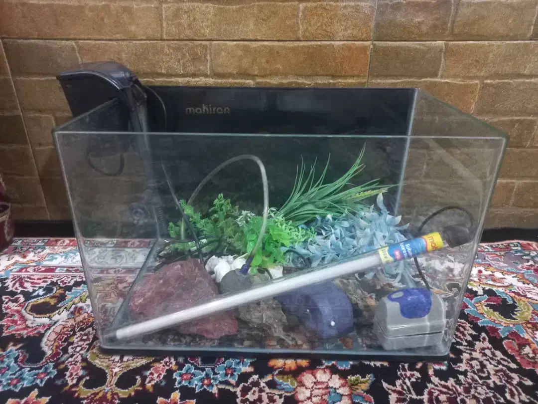 آکواریوم ماهیران و فیلتر سطلی|ماهی|اهواز, ۲۵۴دستگاه|دیوار