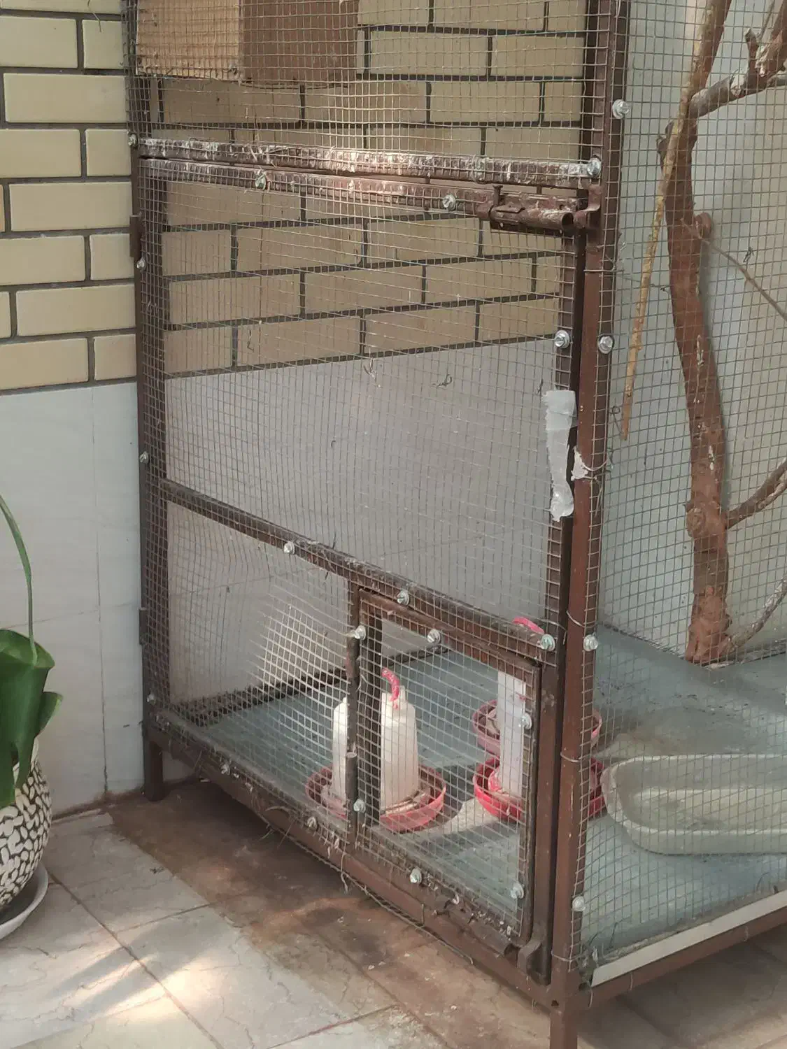 فروش قفس بزرگ مناسب پرنده با کفی گالوانیزه|لوازم جانبی حیوانات|جهرم, |دیوار
