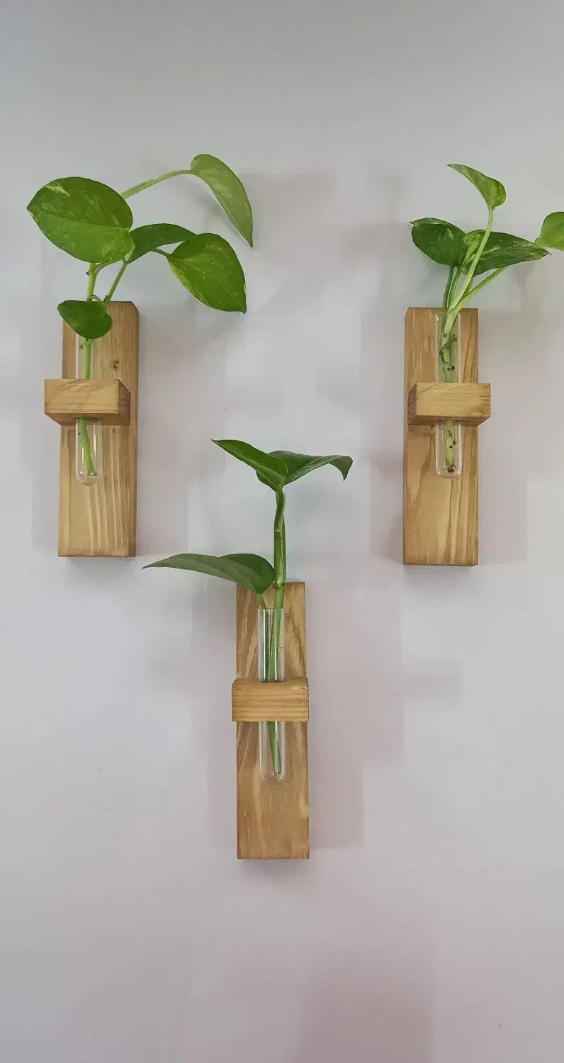 دست سازه های چوبی|صنایع دستی و سایر لوازم تزئینی|آشخانه, |دیوار