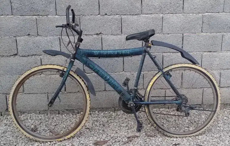 فروش دوتا دوچرخه در نوشهر|دوچرخه، اسکیت، اسکوتر|نوشهر, |دیوار