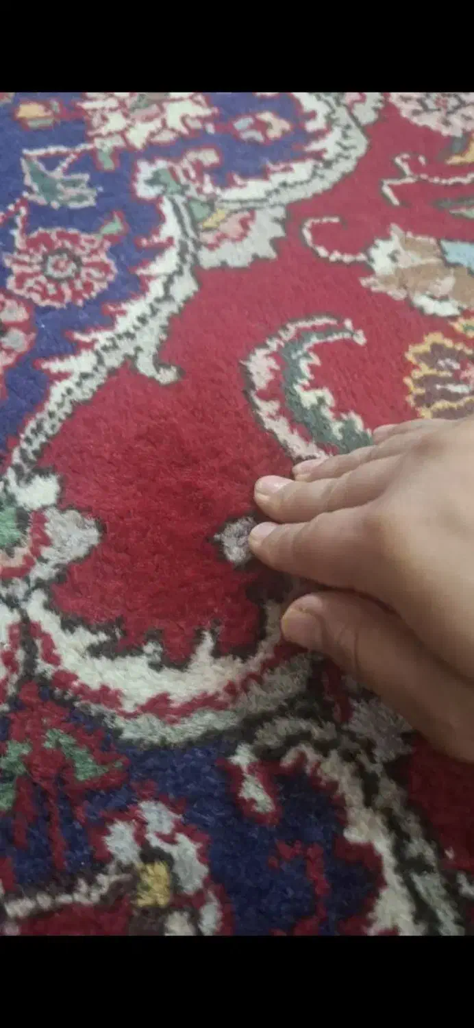 فرش دستباف|فرش|ارومیه, |دیوار