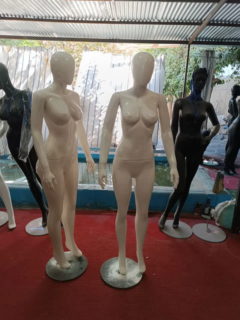 مانکن|فروشگاه و مغازه|سنندج, |دیوار