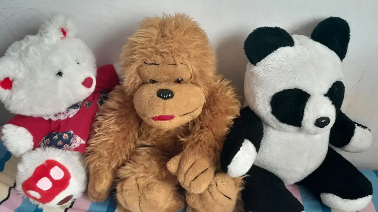 عروسک|اسباب‌بازی بچه|بجنورد, |دیوار