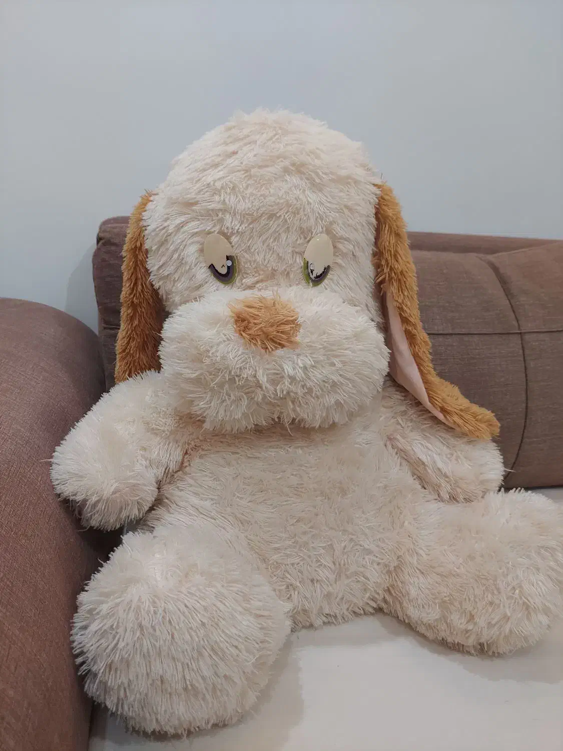 عروسکهای خز|اسباب‌‌بازی|اهواز, زیتون کارمندی|دیوار