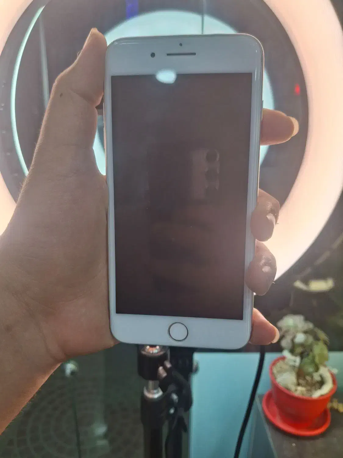 گوشی 8 plus سفید 64 گیگ|موبایل|شیرگاه, |دیوار