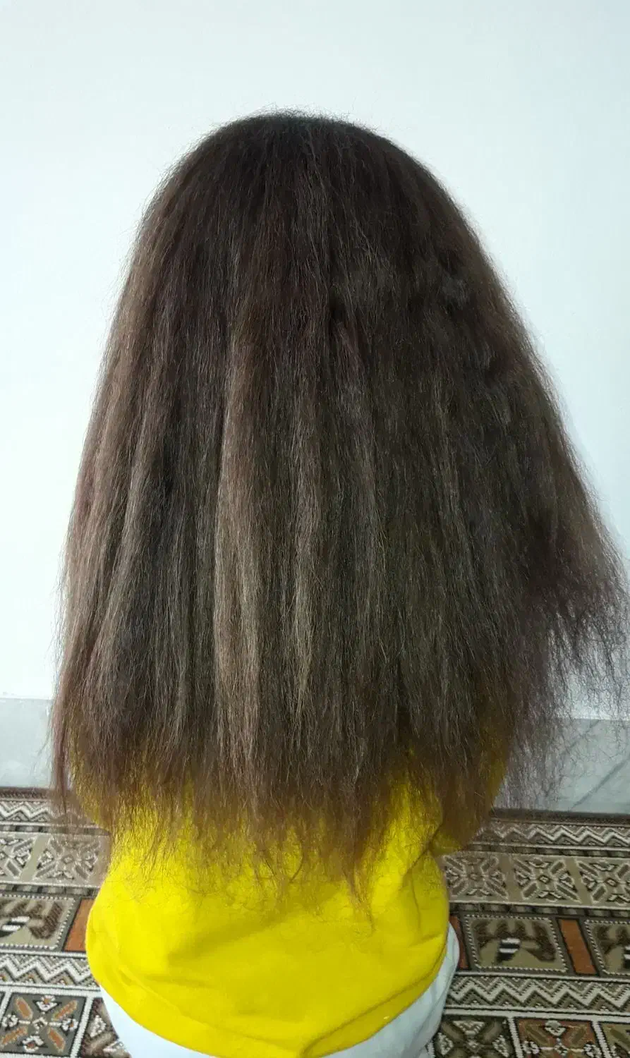 موطلایی پر پشت|آرایشی، بهداشتی، درمانی|ایلام, |دیوار