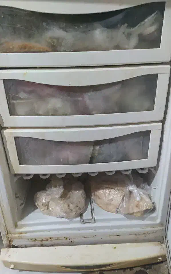 یخچال فریزر|یخچال و فریزر|بومهن, |دیوار