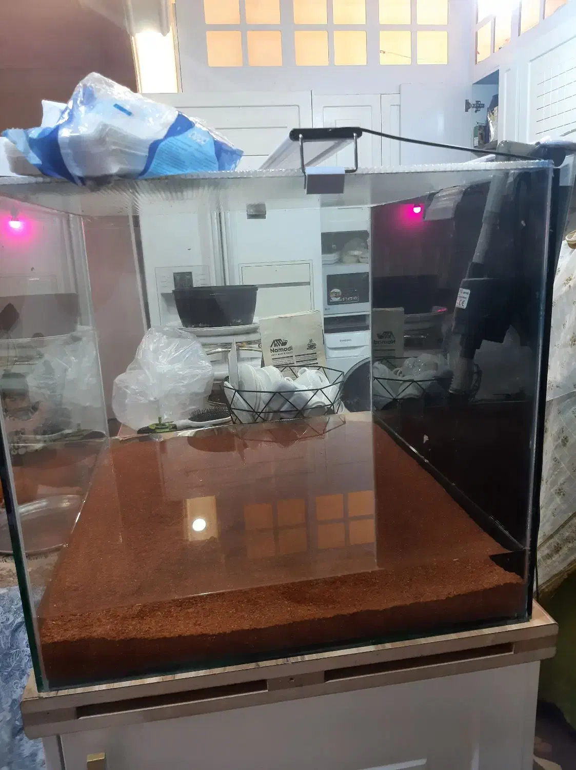 آکواریوم فروشی|ماهی|بندرعباس, |دیوار