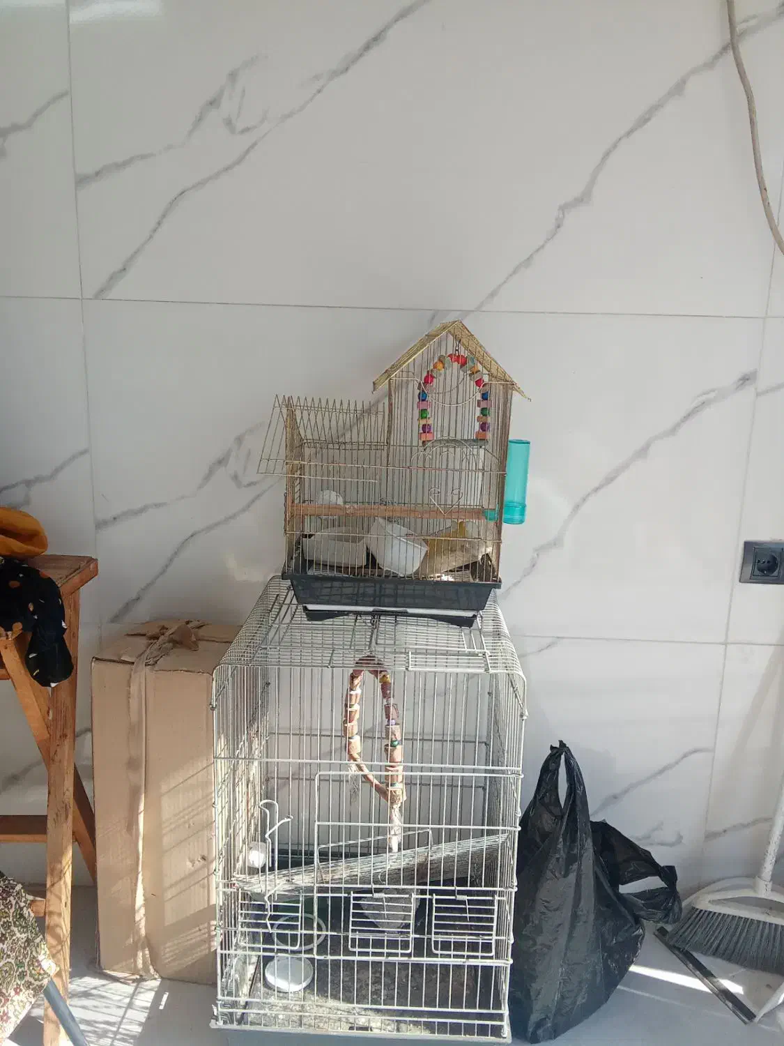 قفس مرغ عشق وطوطی|لوازم جانبی حیوانات|مرزیکلا, |دیوار