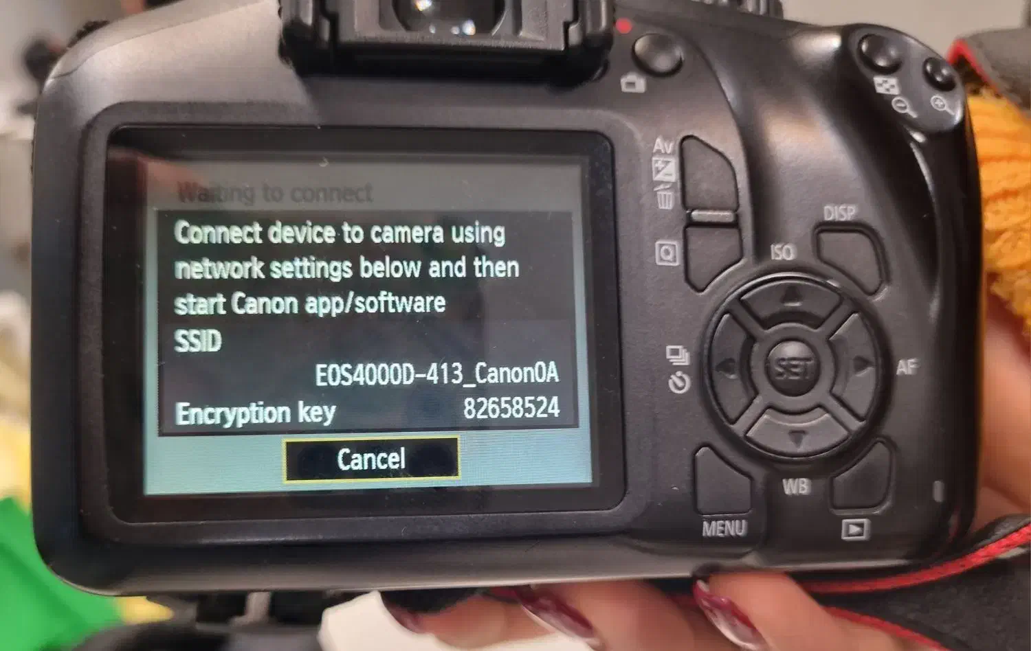 Canon 4000D کانن|دوربین عکاسی و فیلم‌برداری|مشهد, ایثار|دیوار