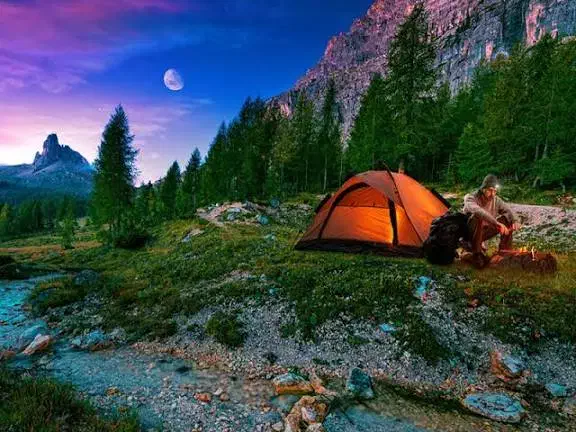 بهترین باش|فعالیت داوطلبانه|بندرعباس, |دیوار