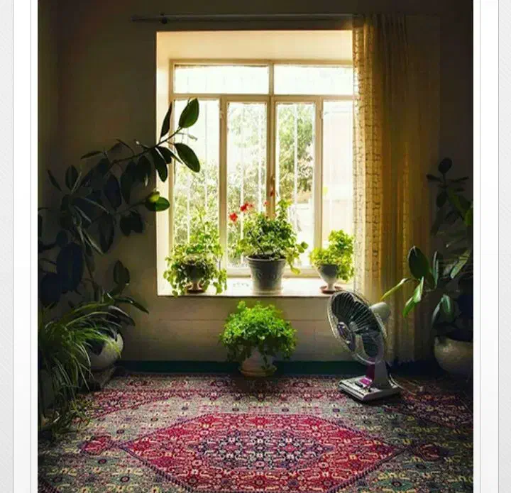 اجاره خونه کلنگی|اجارهٔ خانه و ویلا|خلخال, |دیوار