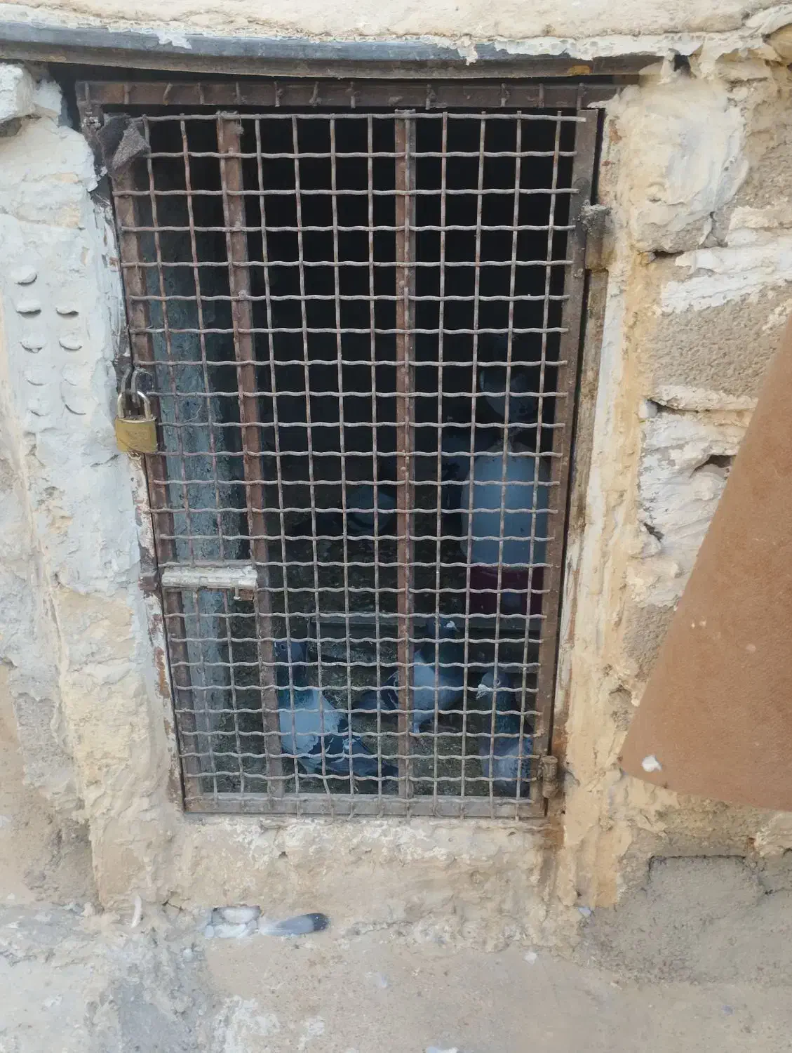 درب کله|مصالح و تجهیزات ساختمان|شوش, |دیوار