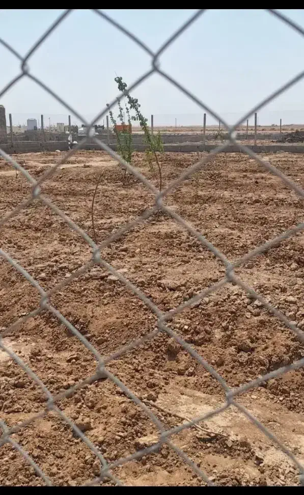 فروش ویژه زمین باغ اقساط۳۰ماهه سندتکبرگ شاهین شهر|فروش زمین و ملک کلنگی|اصفهان, دشتستان|دیوار