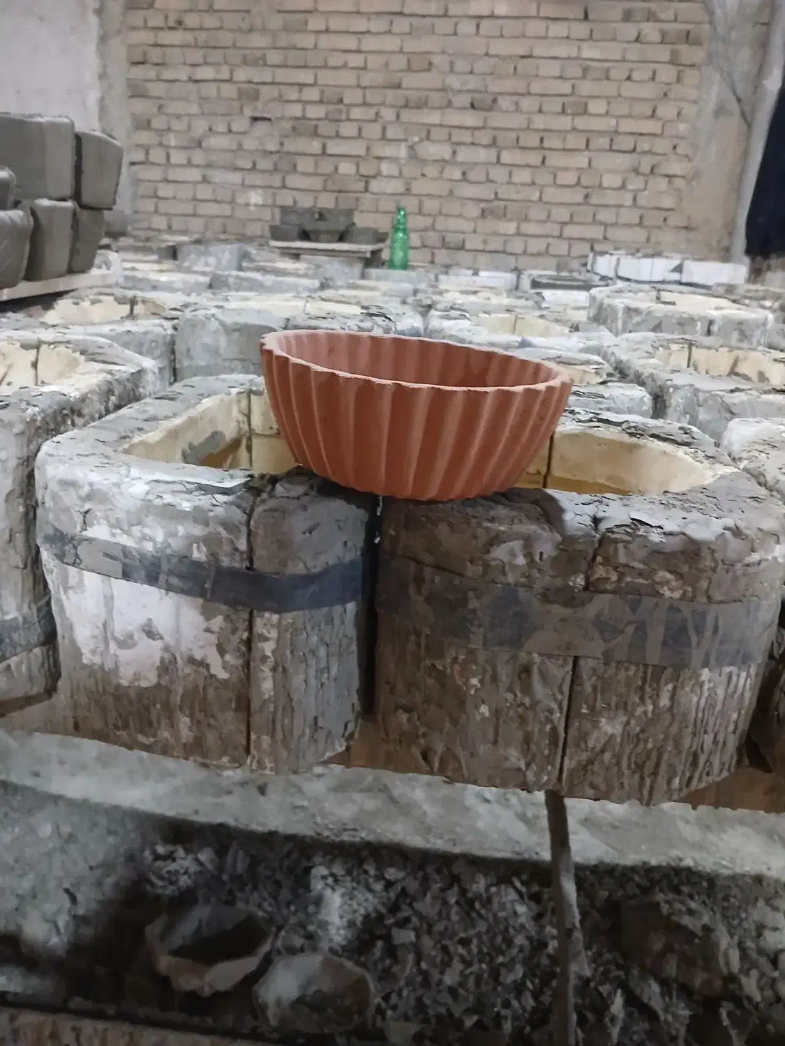 تولید جاسبزه|عمده‌فروشی|لالجین, |دیوار