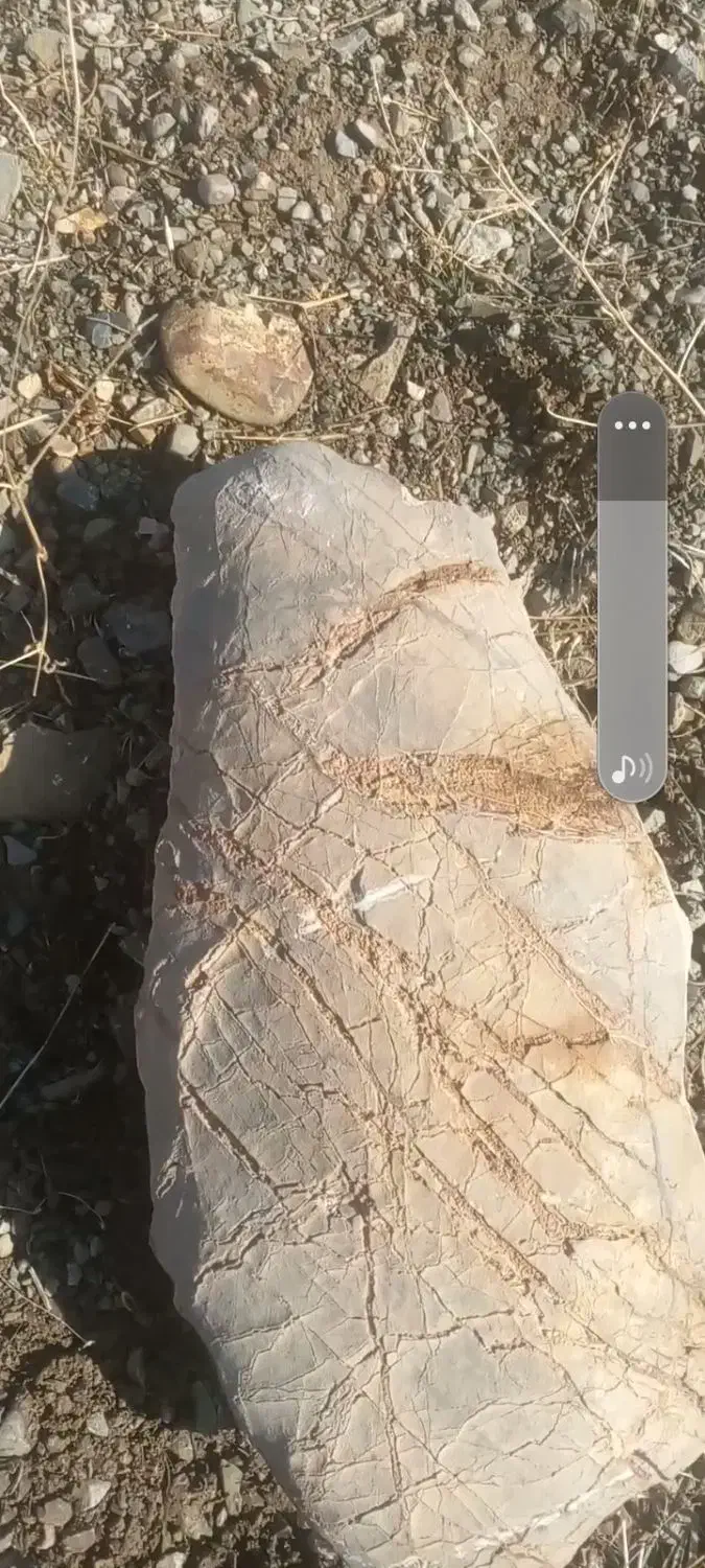 سنگ باستانی زیبا|کلکسیون اشیاء عتیقه|خمینیشهر, |دیوار