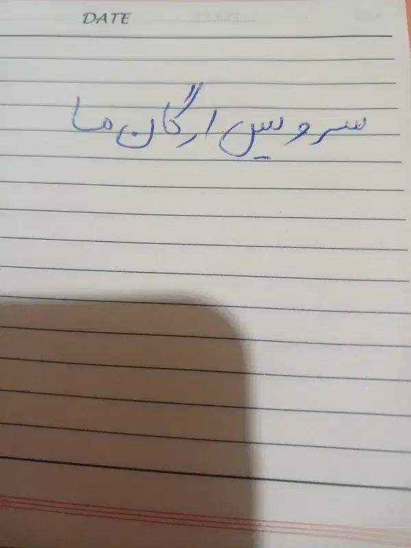 سرویس پذیرفته میشود|خدمات حمل و نقل|بم, |دیوار