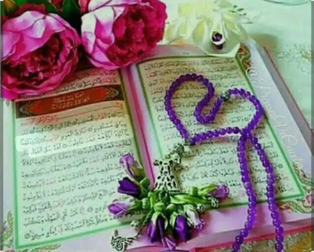 خدمات|فعالیت داوطلبانه|رشت, حمیدیان|دیوار