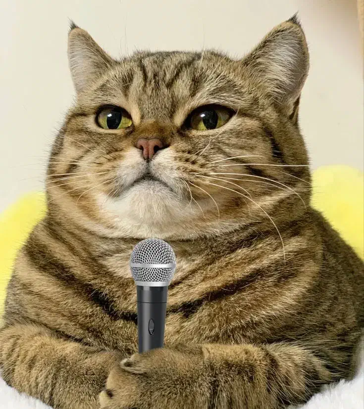 شروع کنیم دادا|خدمات آموزشی|یزد, |دیوار