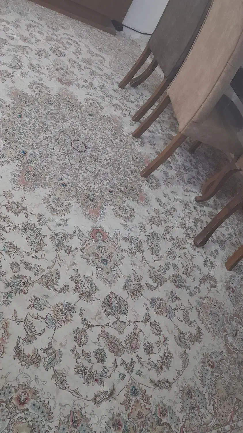 فرش ۱۲متری|فرش|مشهد, نظام دوست|دیوار