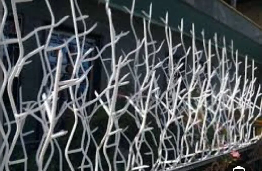 ایمن منزل نرده شاخ گوزنی شاخگوزنی دزدگیر برنده|مصالح و تجهیزات ساختمان|دلیجان, |دیوار