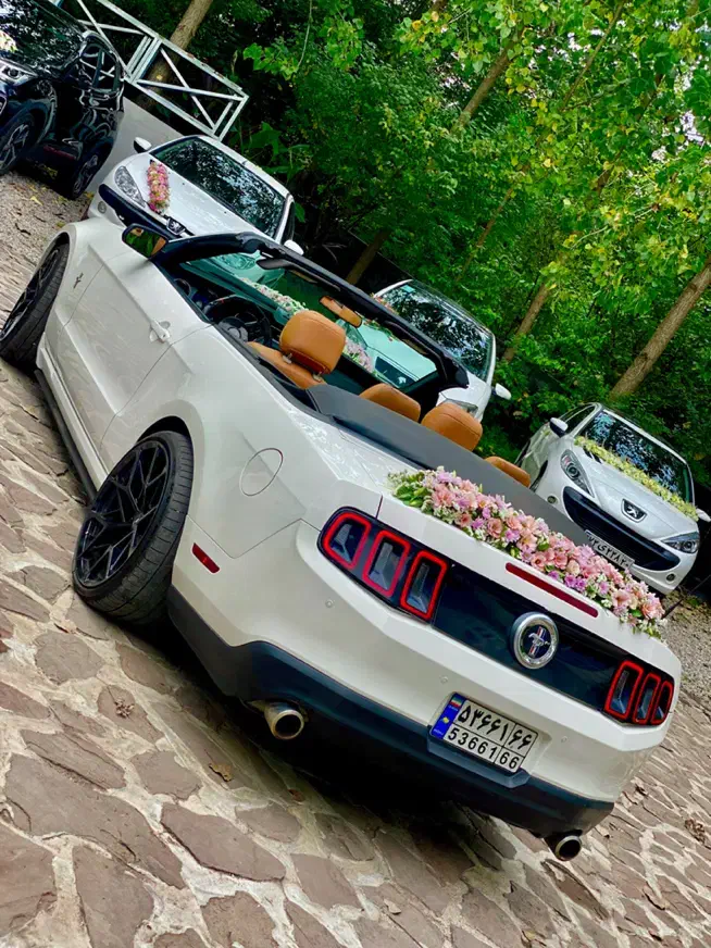 اجاره فورد موستانگ کروک|خدمات پذیرایی، مراسم|رشت, استقامت ۱|دیوار