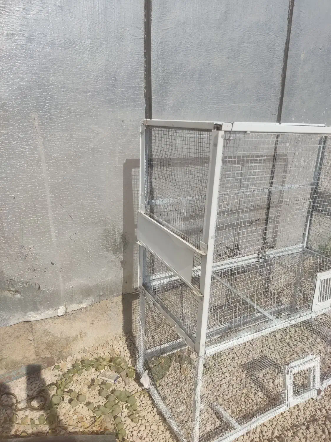 قفس پرنده|لوازم جانبی حیوانات|بوشهر, |دیوار