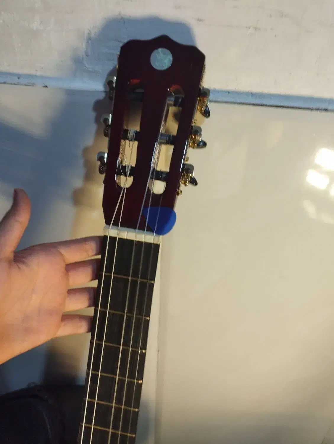 گیتار فوری فوری|گیتار، بیس، امپلیفایر|سردشت, |دیوار