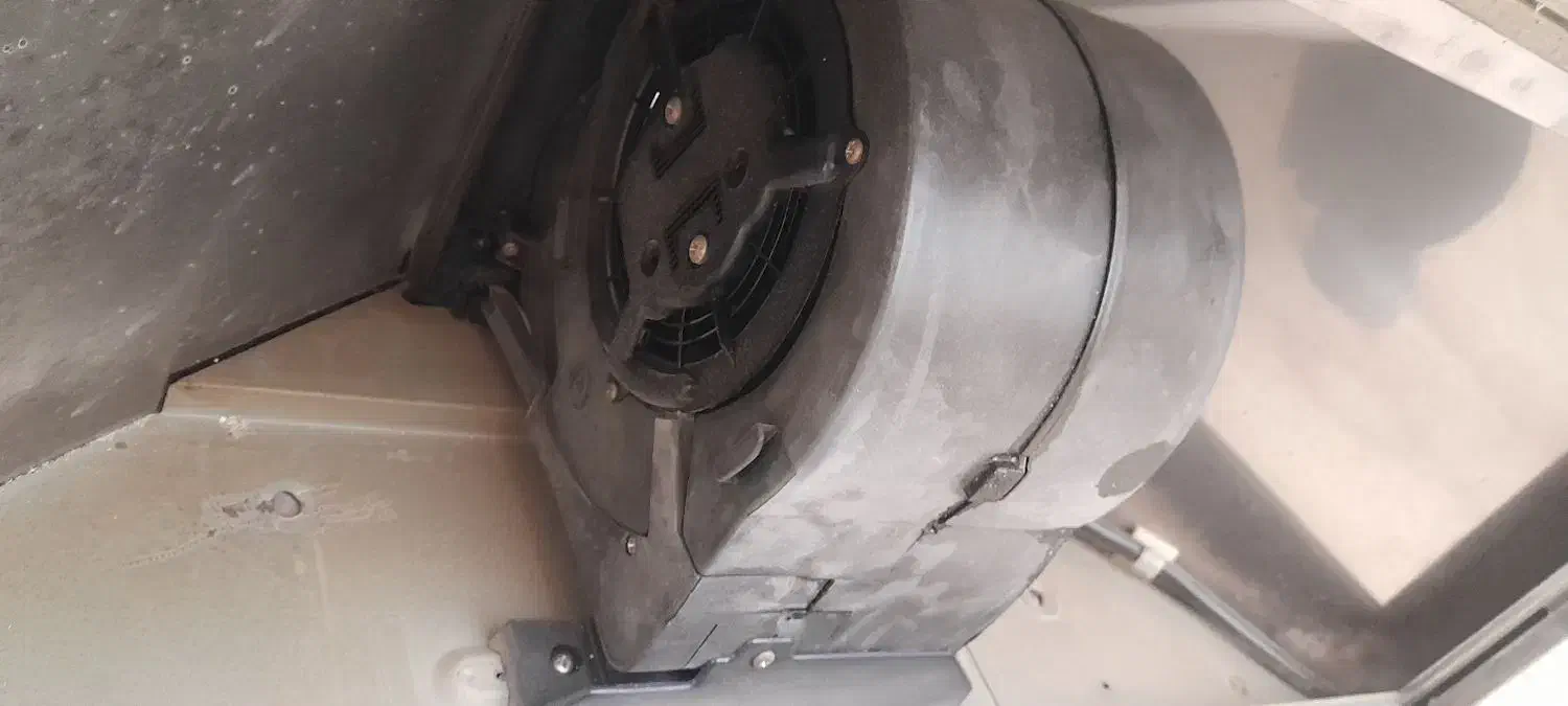 هود|هود|گلستان (تهران), |دیوار