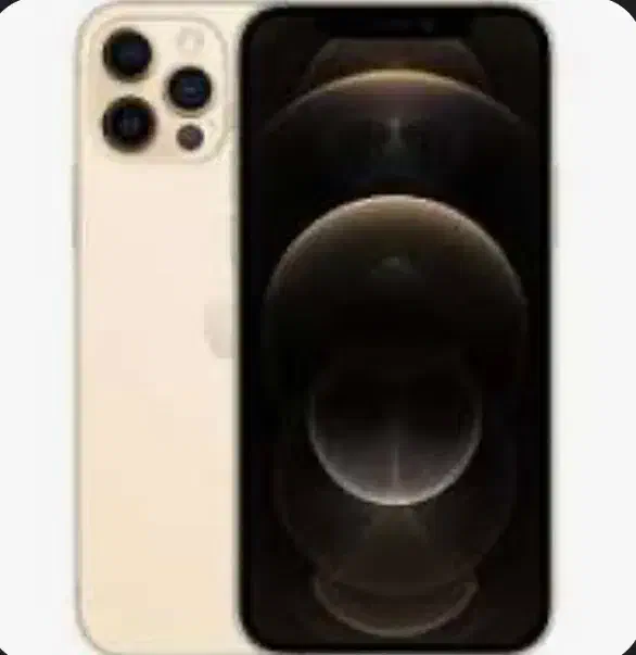 ایفون ۱۲ پرو مکس|موبایل|سیرجان, |دیوار