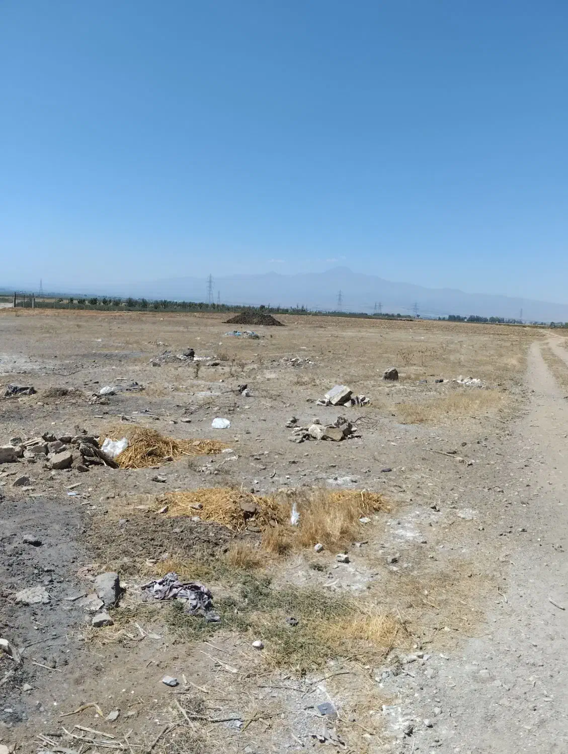 زمین باغ|فروش زمین و ملک کلنگی|نمین, |دیوار