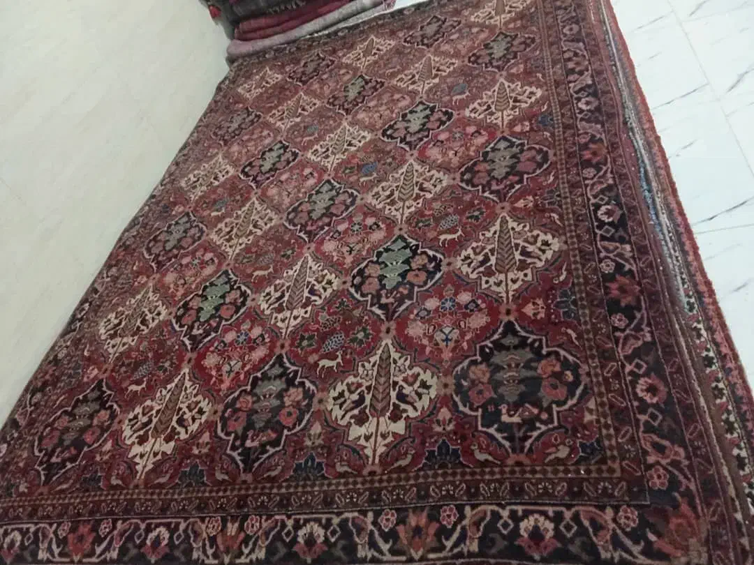 دو عدد فرش ۶ متری چالشتری قدمت دار|فرش|لردگان, |دیوار