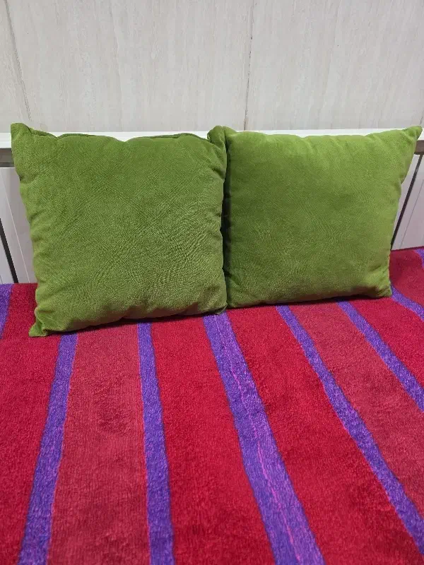 ۲کوسن سبز رنگ|سرویس روتختی|بندر انزلی, باغ زمانی|دیوار