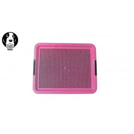 لوازم سگ|لوازم جانبی حیوانات|کرمان, |دیوار